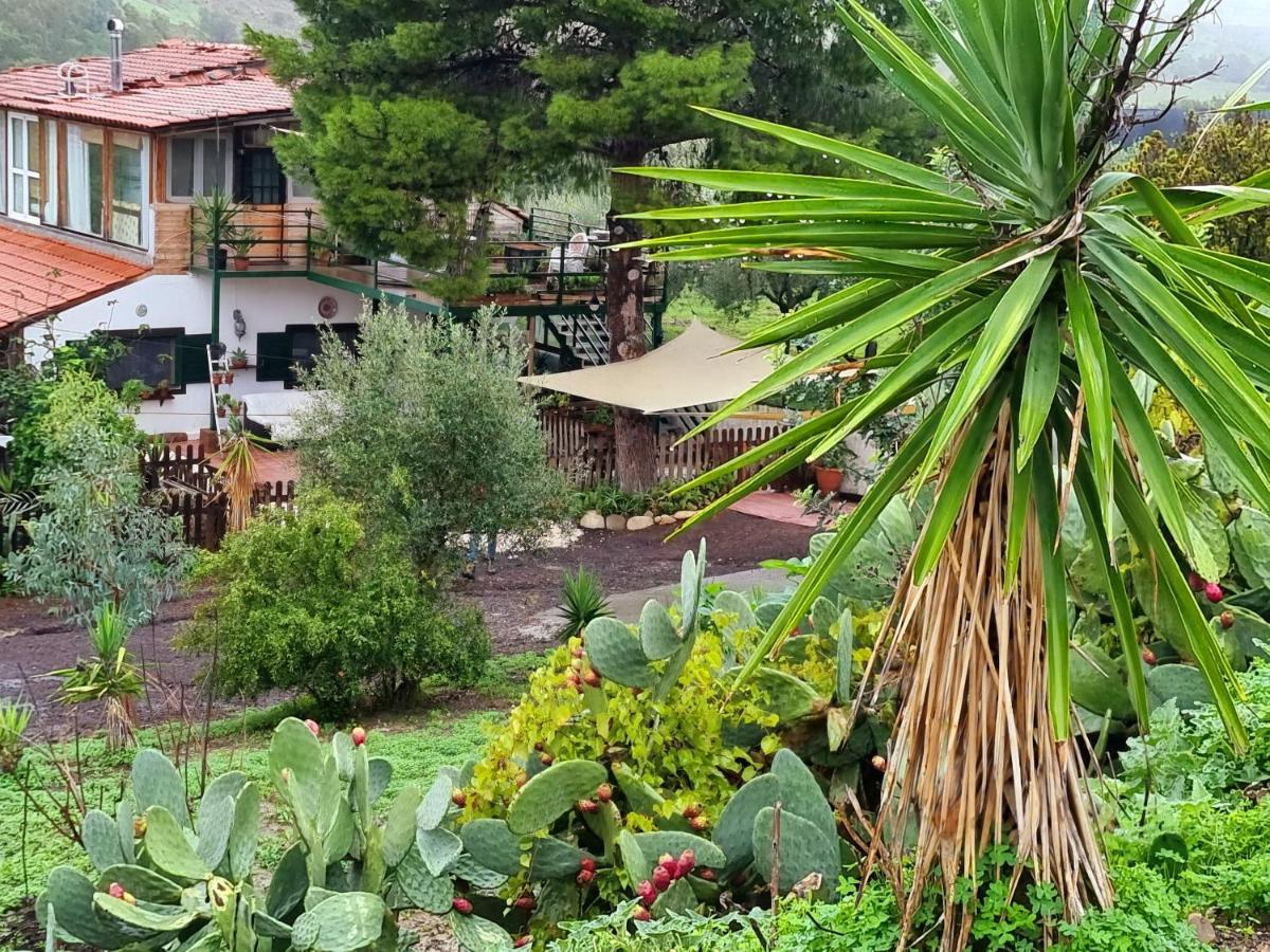 Sunset Valley Village Motta Sant' Anastasia Luaran gambar